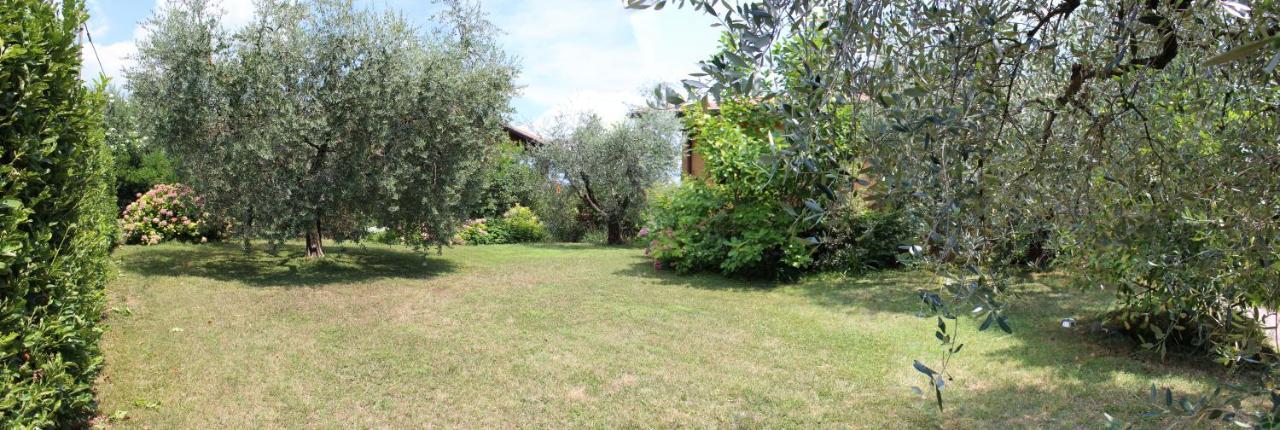 B&B Drusilla Garden Soiano Del Lago Eksteriør billede